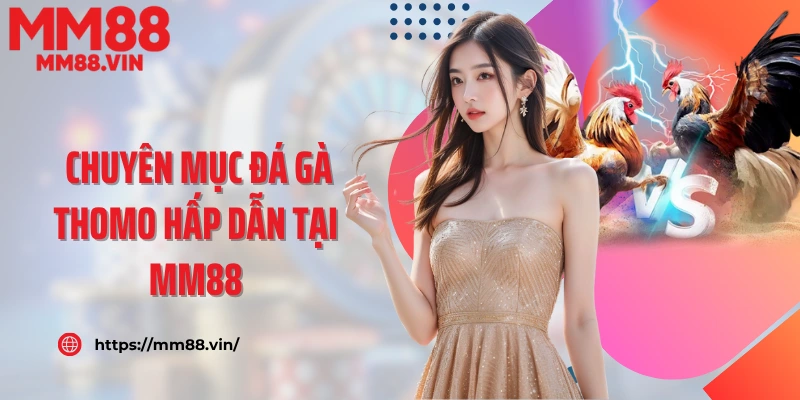 Giới thiệu về chuyên mục đá gà Thomo hấp dẫn tại MM88