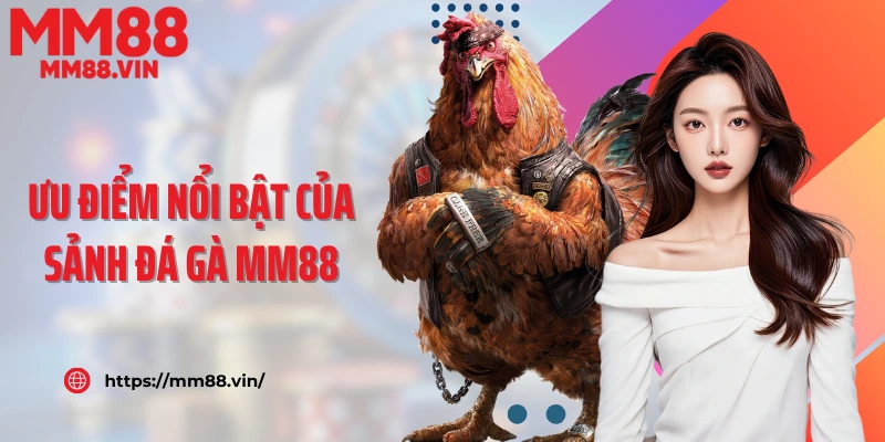 Ưu điểm nổi bật của sảnh đá gà MM88